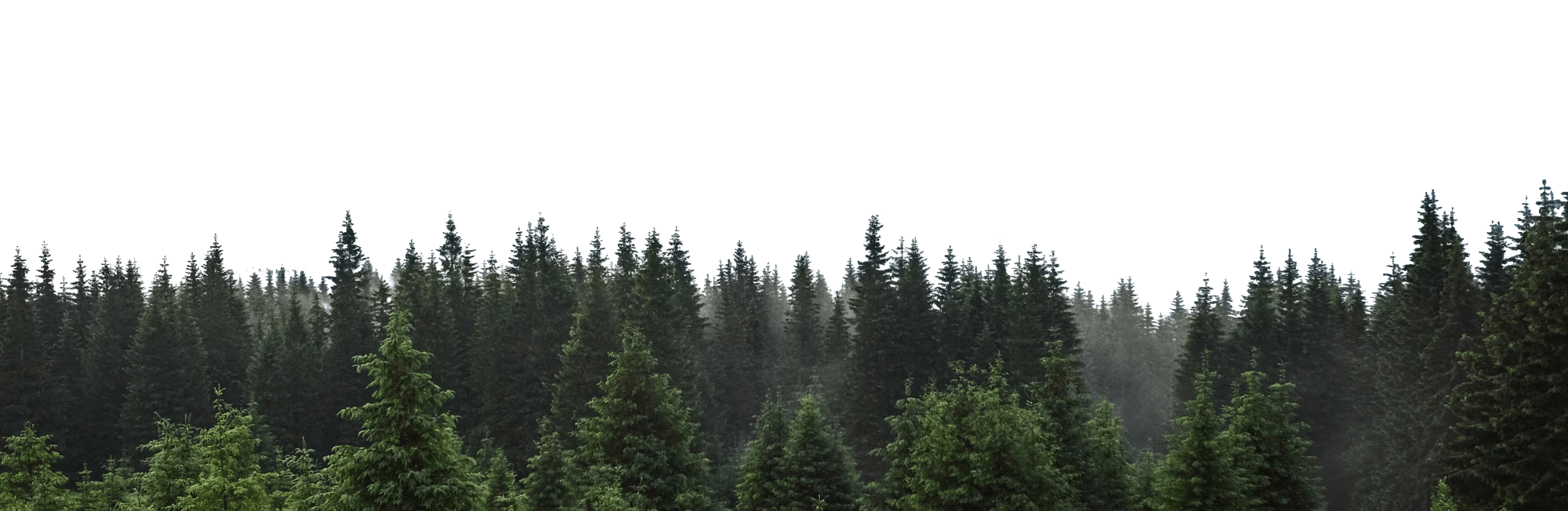 Cta---Banner