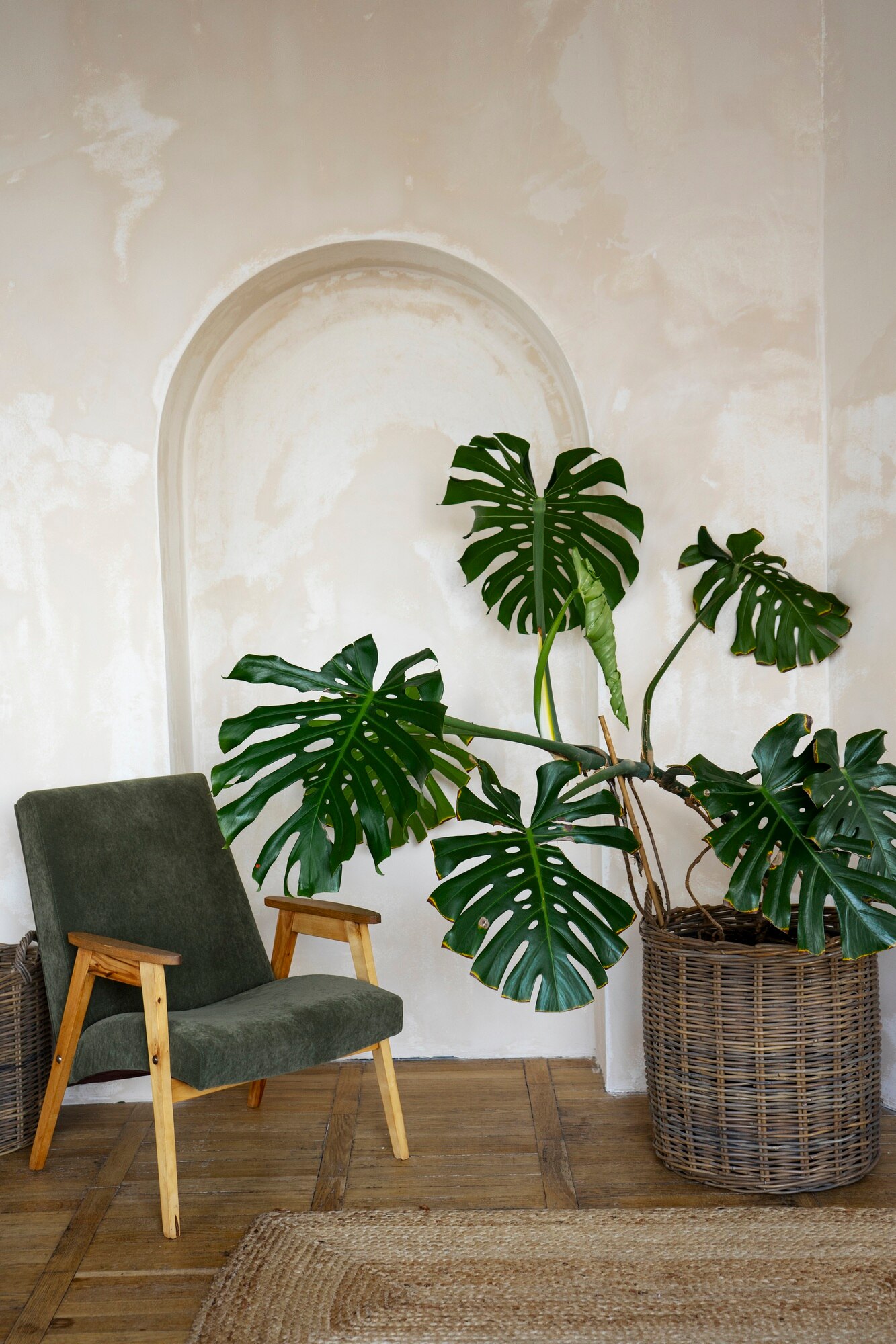 Room with Plants